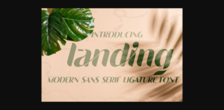 Landing Font Poster 1