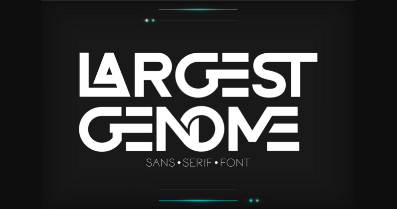Largest Genome Font Poster 3
