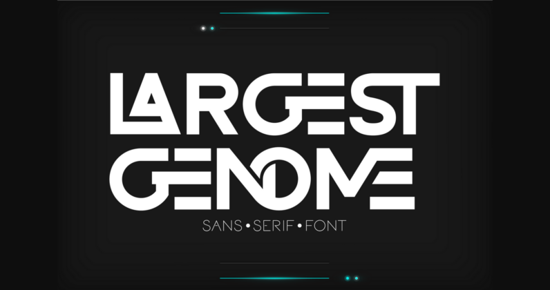 Largest Genome Font Poster 1