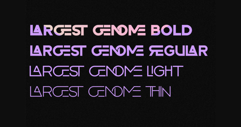 Largest Genome Font Poster 10