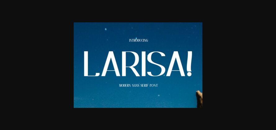 Larisa Font Poster 3