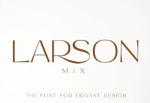 Larson Mix Font Poster 1