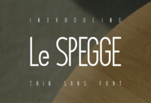 Le Spegge Font Poster 1