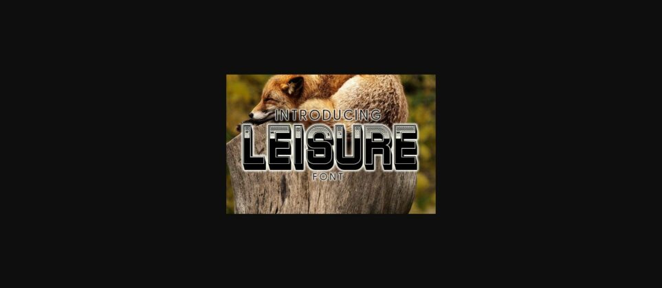 Leisure Font Poster 3