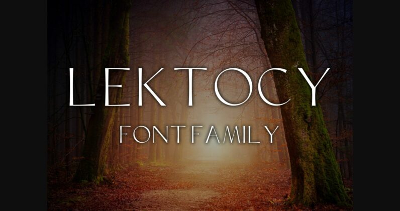 Lektocy Font Poster 3