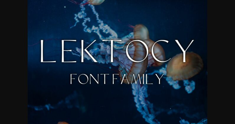 Lektocy Font Poster 4