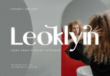 Leoklyin Font Poster 1