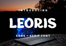 Leoris Font Poster 1