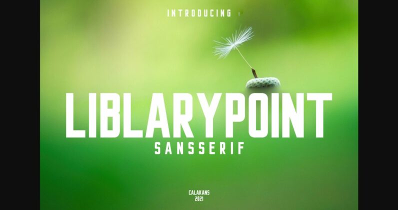 Liblarypoint Font Poster 5