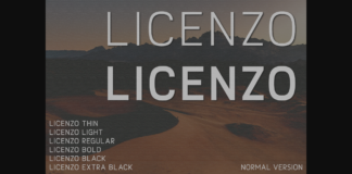 Licenzo Font Poster 1