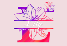 Lily Split Font Poster 1