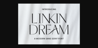 Linkin Dream Font Poster 1