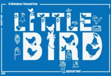 Little Bird Font Poster 1