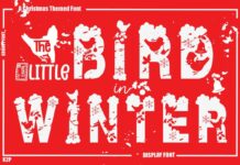 Little Bird in Winter Font Poster 1