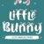 Little Bunny Font