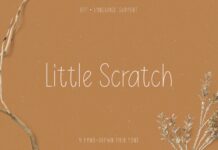 Little Scratch Font Poster 1
