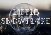 Little Snowflake Font Poster 1