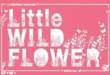 Little Wildflower Font Little Wildflower Font Poster 1