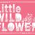 Little Wildflower Font