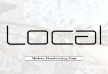Local Local Fonts