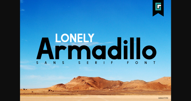 Lonely Armadillo Font Poster 3