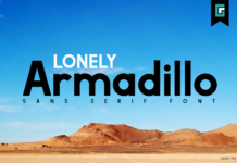 Lonely Armadillo Font Poster 1