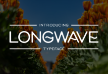 Long Wave Font Poster 1