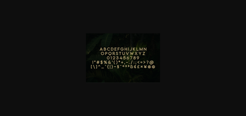 Lonny Font Poster 4