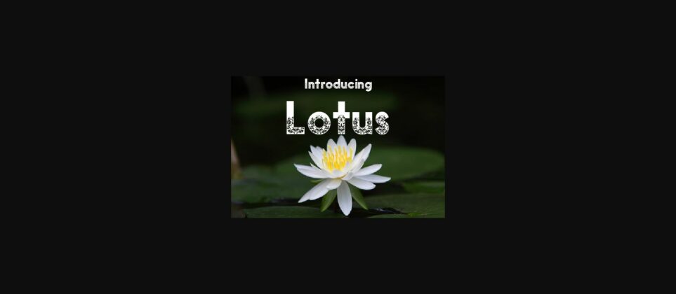Lotus Font Poster 3