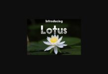Lotus Font Poster 1