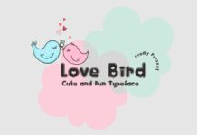 Love Bird Font Poster 1