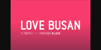 Love Busan Font Poster 1