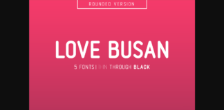Love Busan Font Poster 1