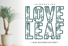 Love Leaf Font Poster 1