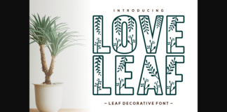 Love Leaf Font Poster 1