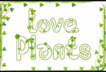 Love Plants Font Poster 1