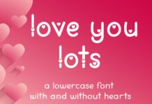 Love You Lots Font Poster 1