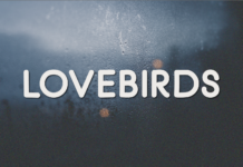 Lovebirds Font Lovebirds Font Poster 1