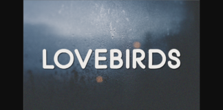 Lovebirds Font Poster 1