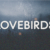 Lovebirds Font