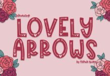 Lovely Arrows Font Poster 1