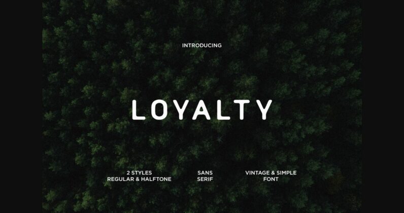 Loyalty Font Poster 3