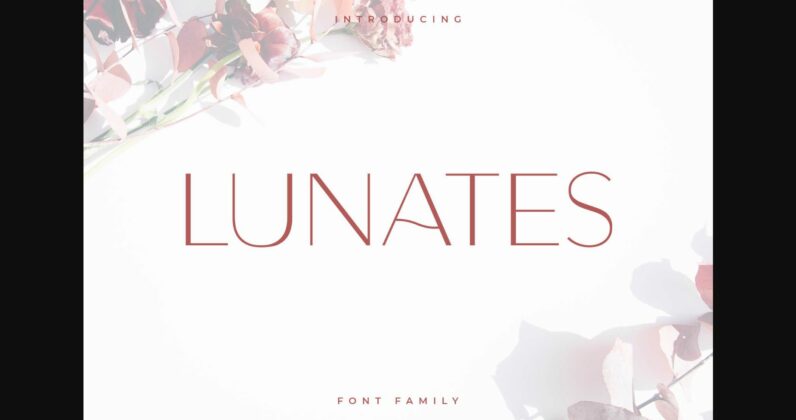 Lunates Font Poster 3
