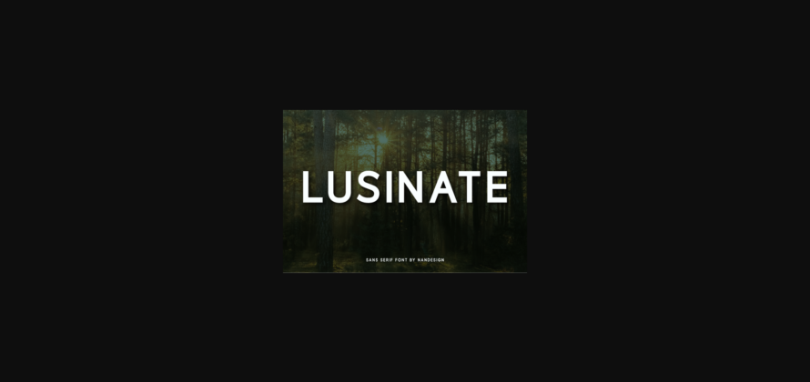 Lusinate Font Poster 3