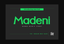 Madeni Font Poster 1