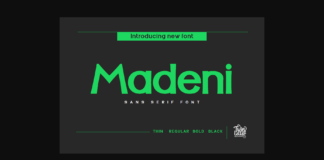 Madeni Font Poster 1