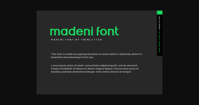 Madeni Font Poster 4