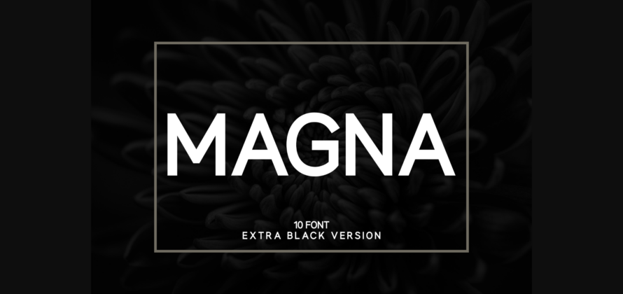 Magna Extra Black Font Poster 1
