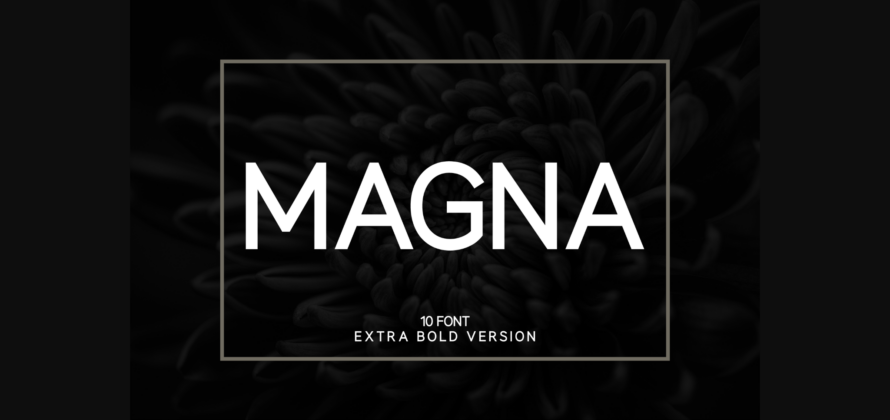 Magna Extra Bold Font Poster 3