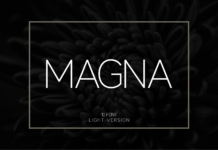 Magna Light Font Poster 1